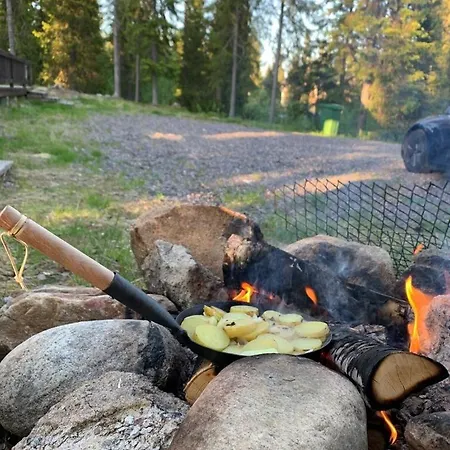 Salmikunnaan B