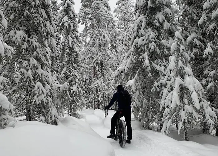 Salmikunnaan B 別荘 Syöte