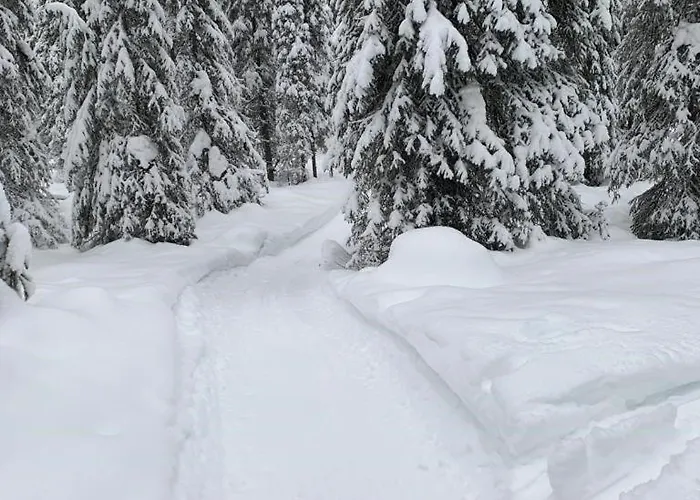 Salmikunnaan B * Syöte